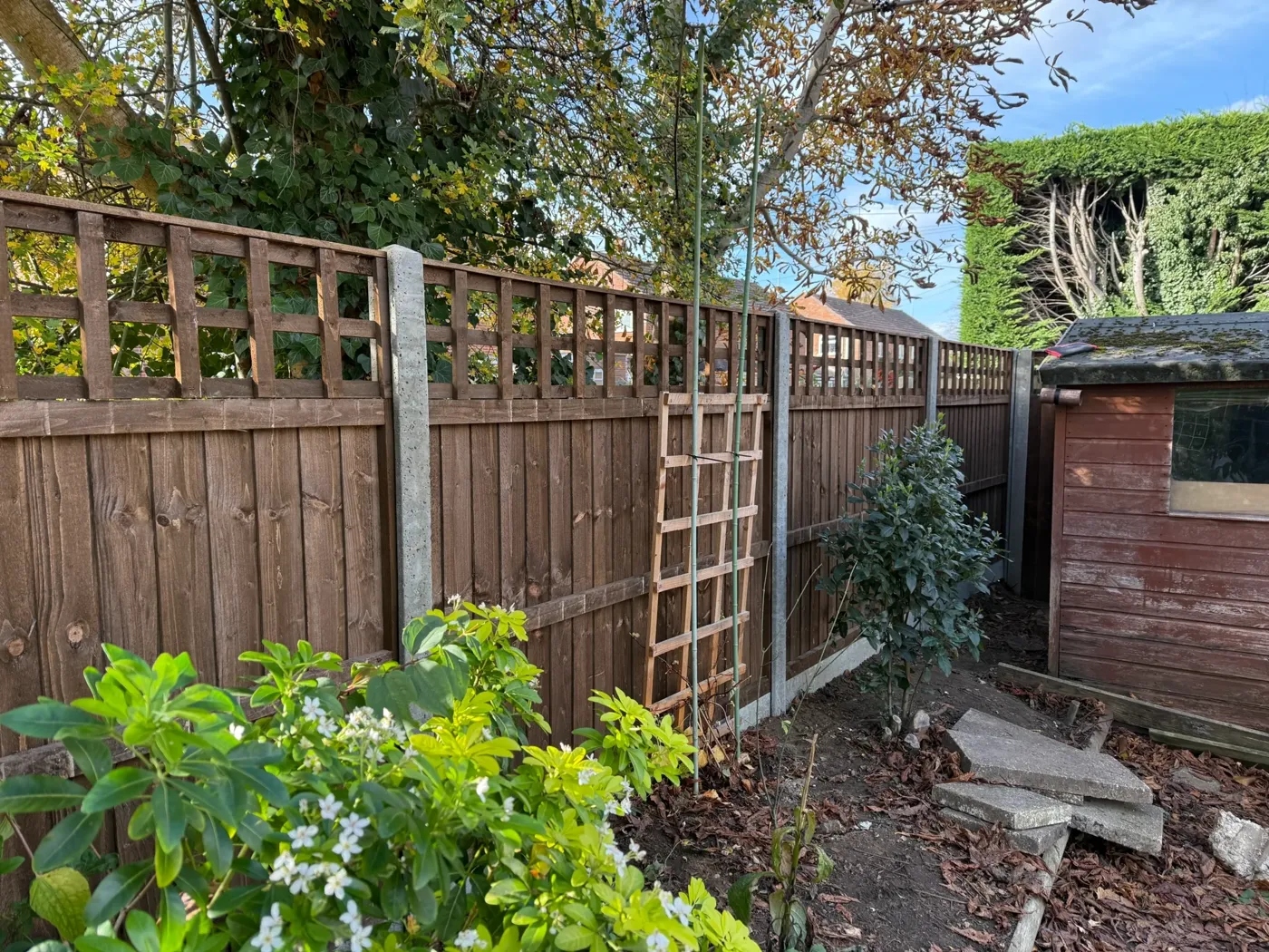 Trellis topped fence panels fitted in a residential garden
