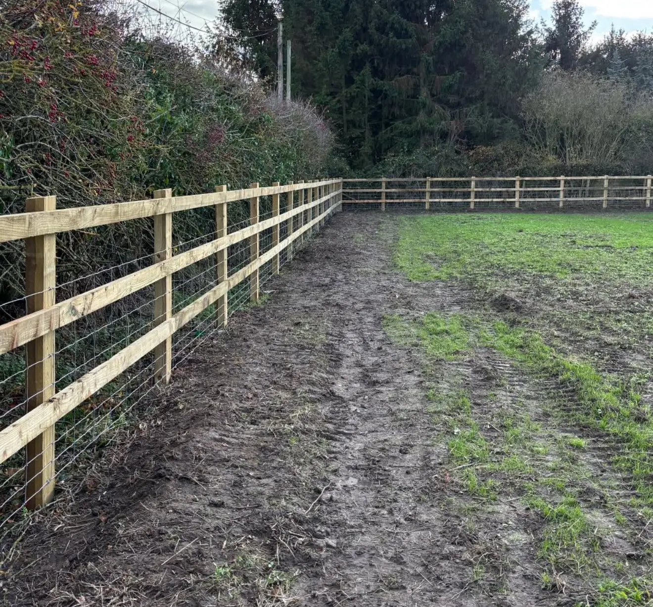 Agricultural post and rail fencing on a rural boundary